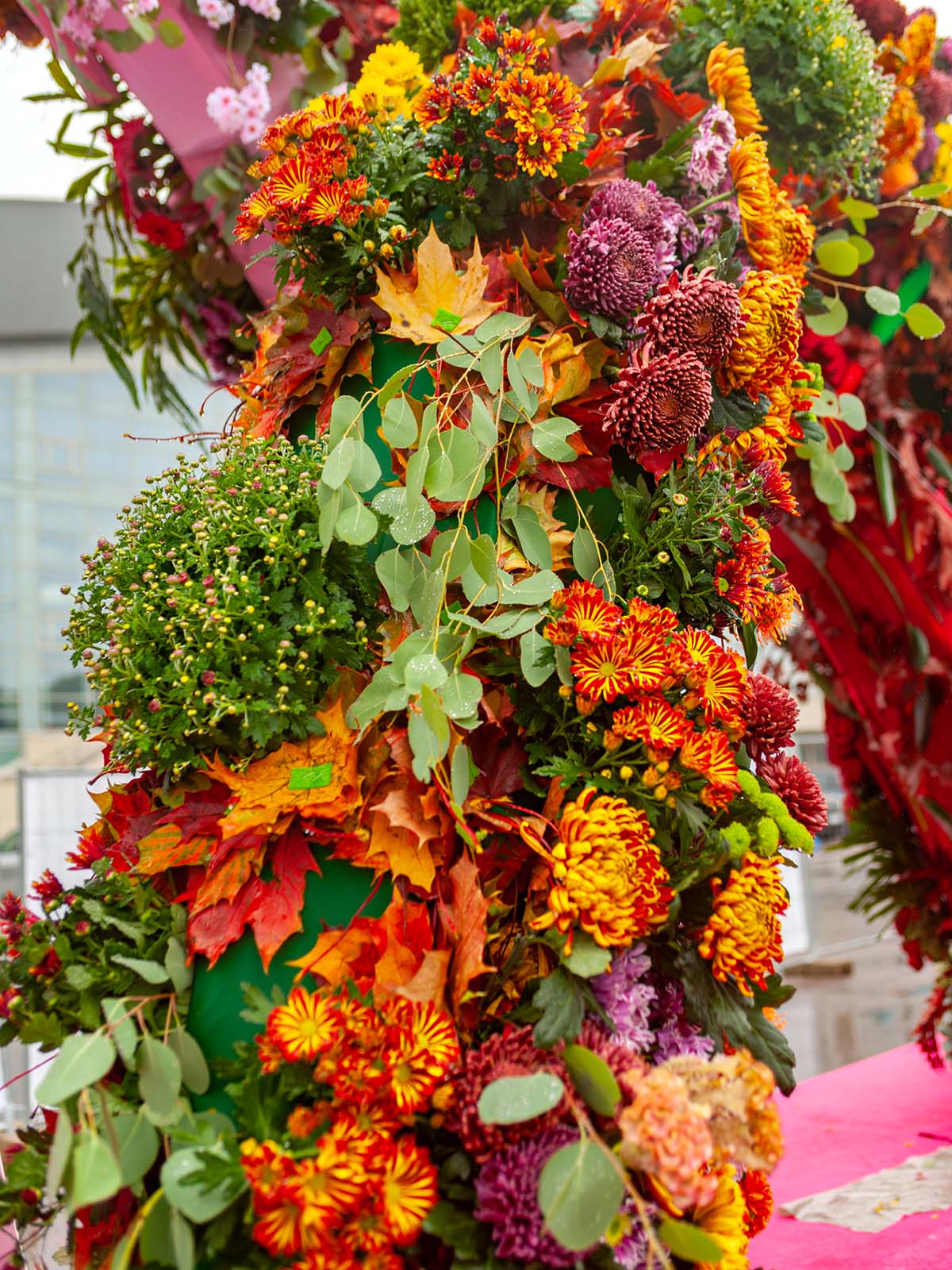 Three Times Is a Charm for Flower Festival St. Petersburg 21