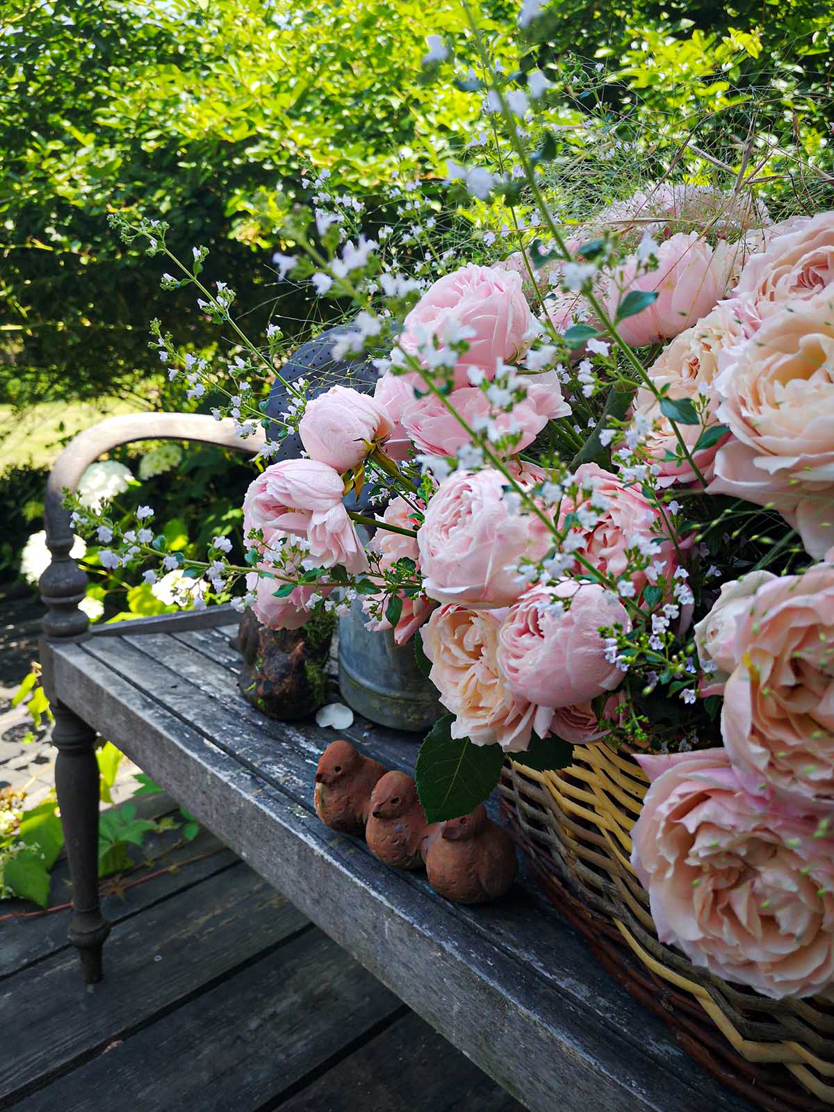 I Love Picking Fresh Roses From My Garden 12
