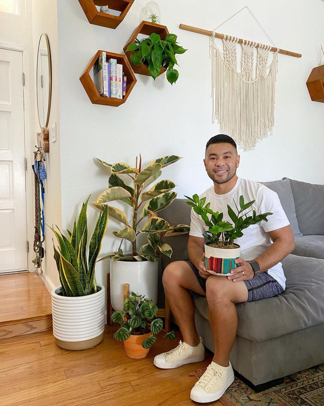 Top Six Indoor Plants to Decorate Your Student Apartment With005