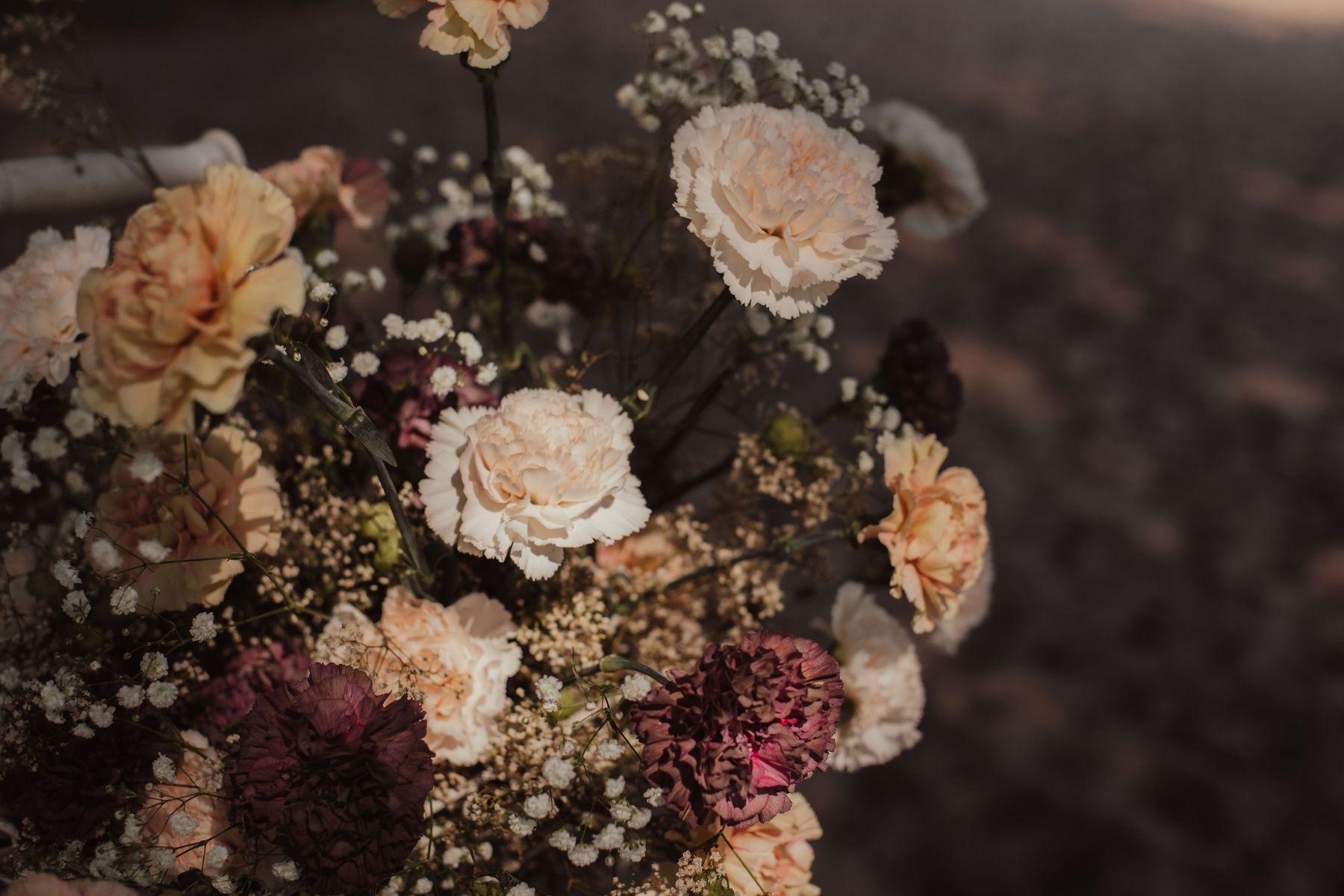 Inspirational Shoot With Gorgeous Decofresh Roses and Carnations - Blog on Thursd (16)