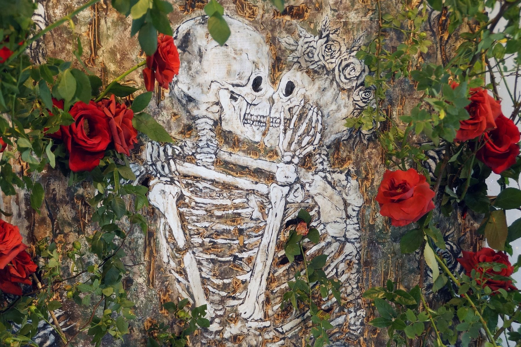 Kowalski Asked Me to Be Part of His Art, to Show Love in Its Full Bloom With Red Roses - Blog on Thursd (12)