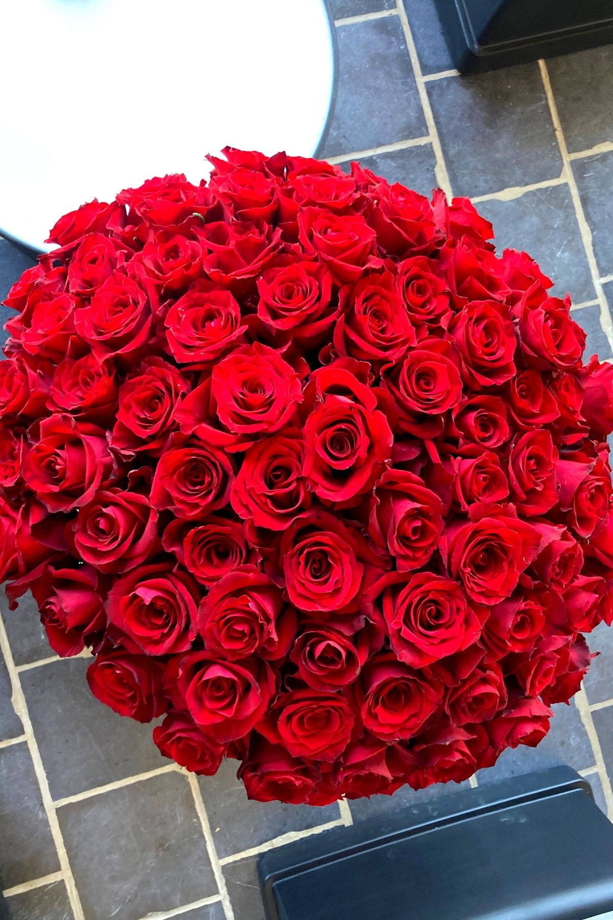 Perfect Petals of Ever Red Roses - Blog on Thursd (18)