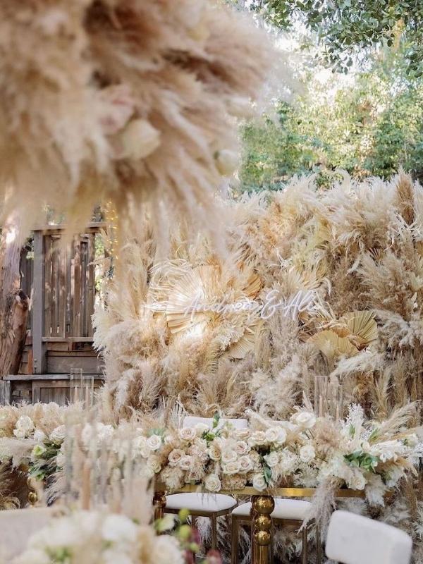Pampas Grass Trends and Why It’s Here to Stay014