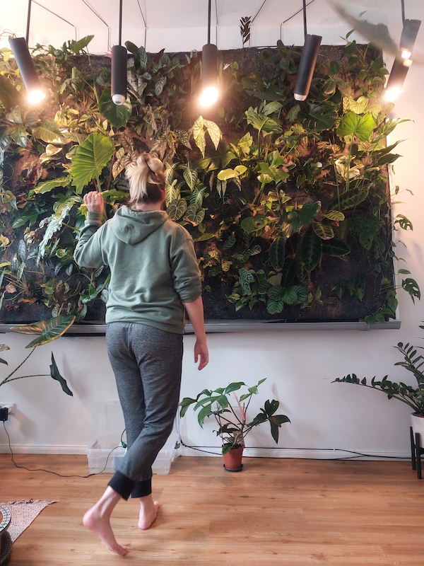 Couple Builds a Gorgeous DIY Plant Wall on a Budget in a Tiny Berlin Apartment004