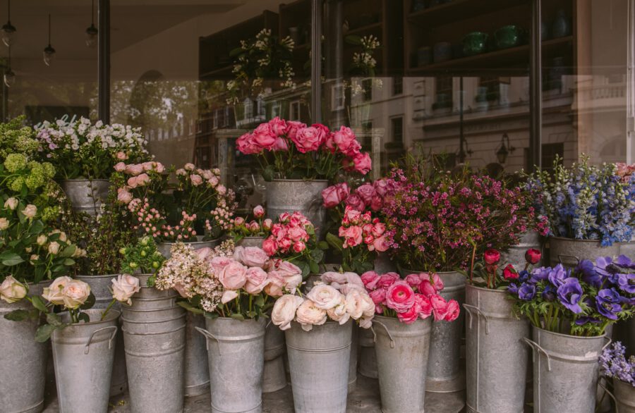 Window Display of Flowers on Thursd