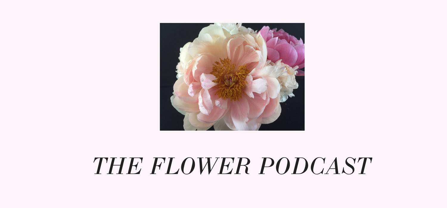 the-flower-podcast-header