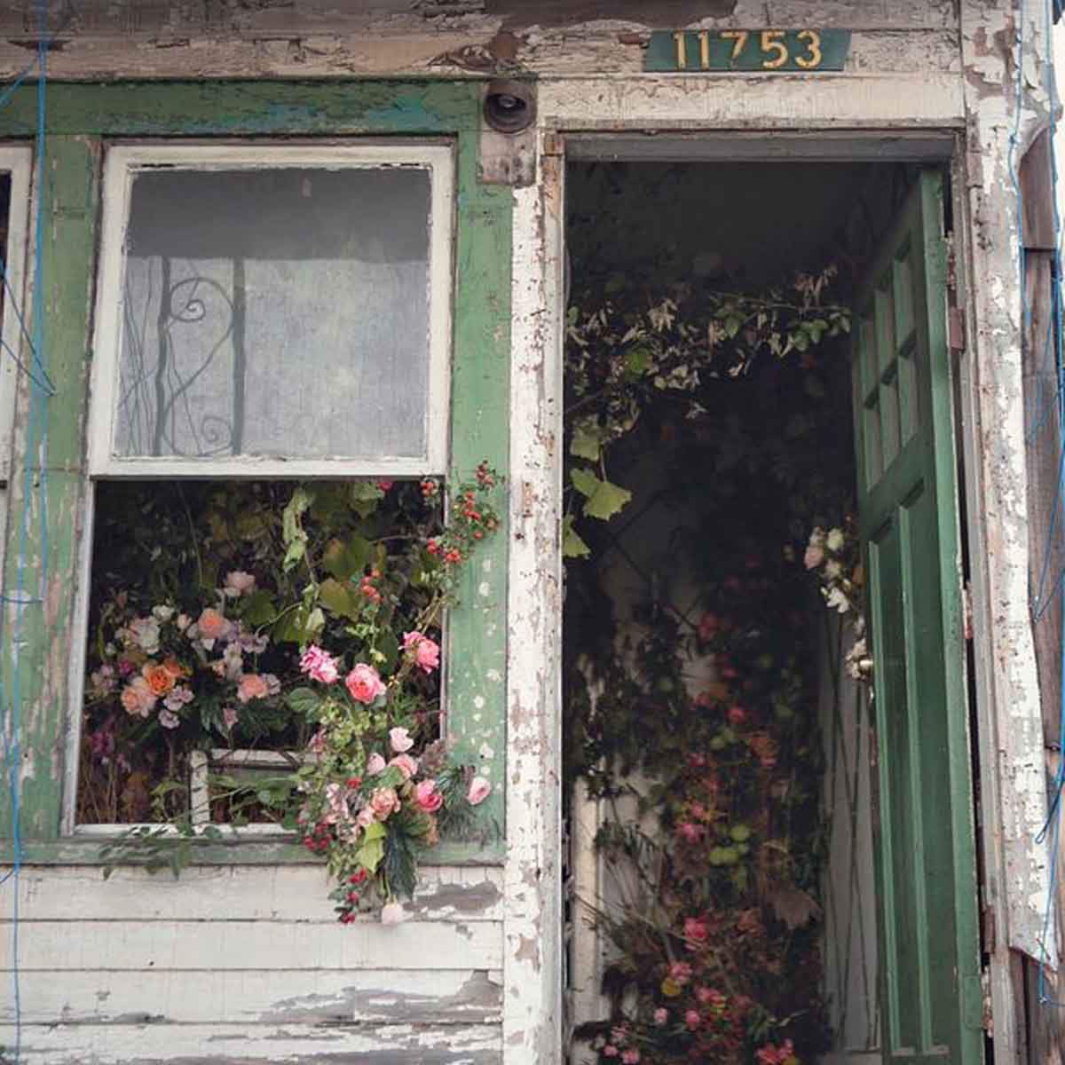 an-abondoned-flowerhouse-in-detroit-featured