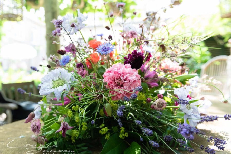 Summer Flowers - Leonie Jansen Fotografie - on Thursd.