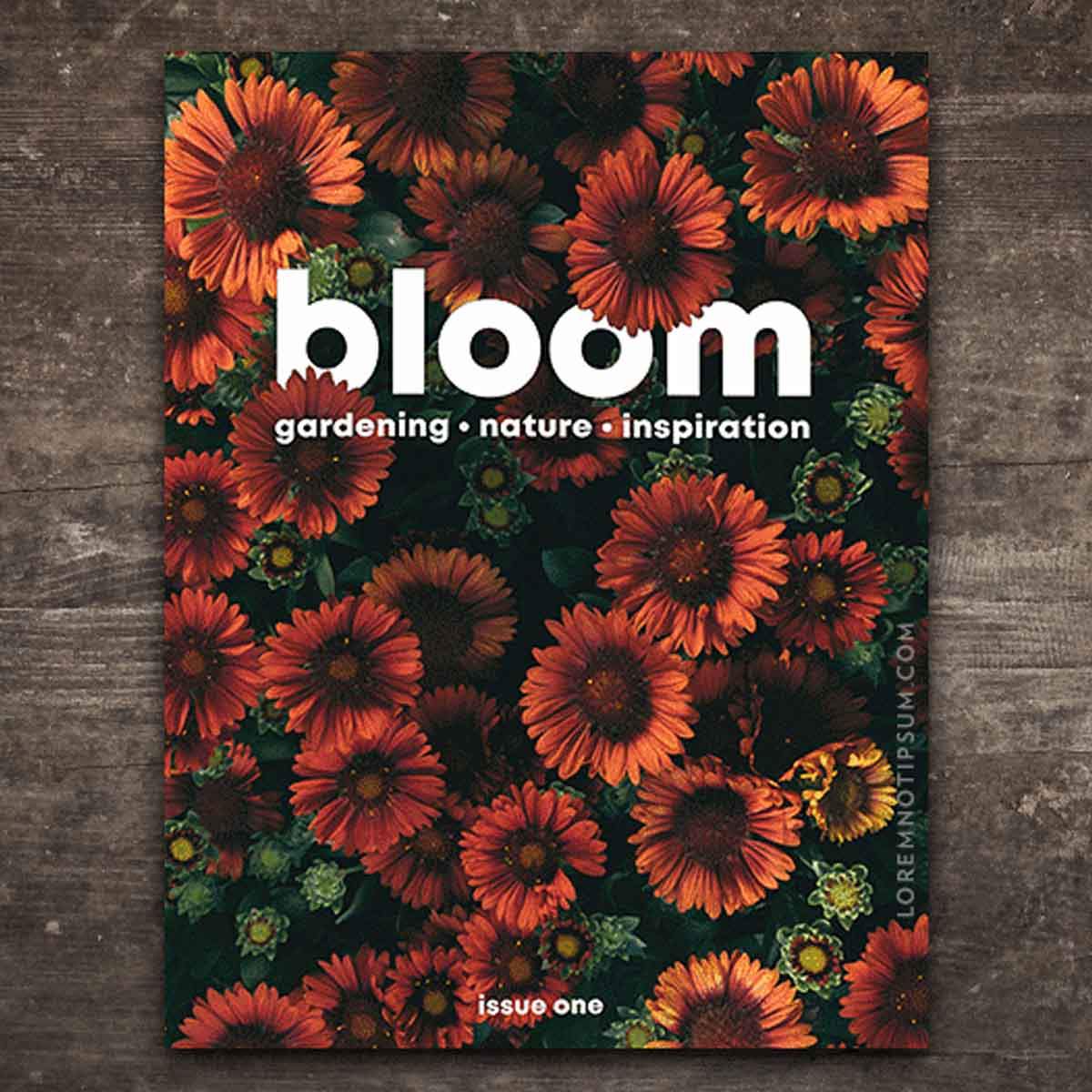 bloom-magazine-autumn-featured