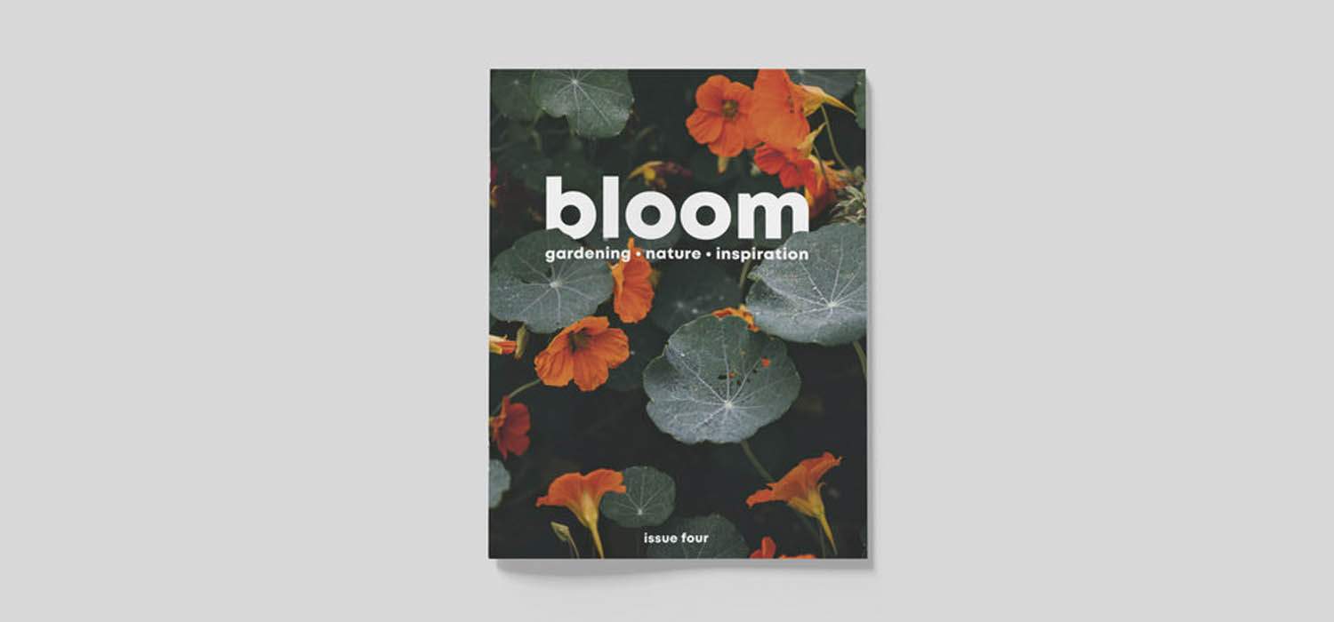 bloom-magazine-autumn-header
