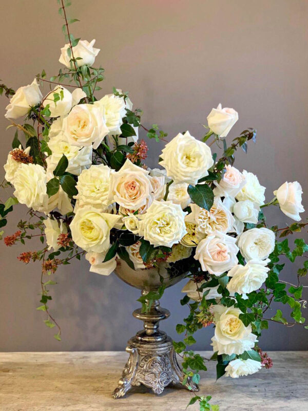 Garden Roses Make the Perfect Match Holly Chapple