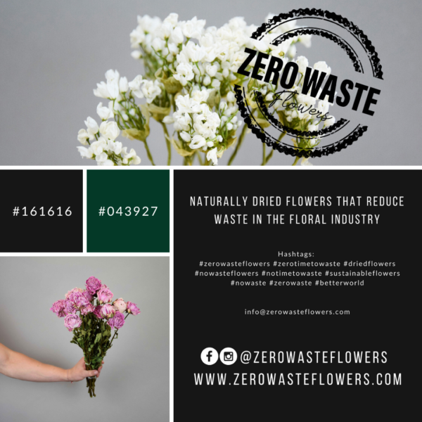 Zero-Waste Guide: How to Dry Rose Petals at Home Sustainably