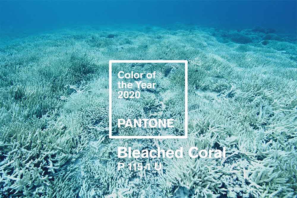 the-pantone-colour-of-the-year-2020-header