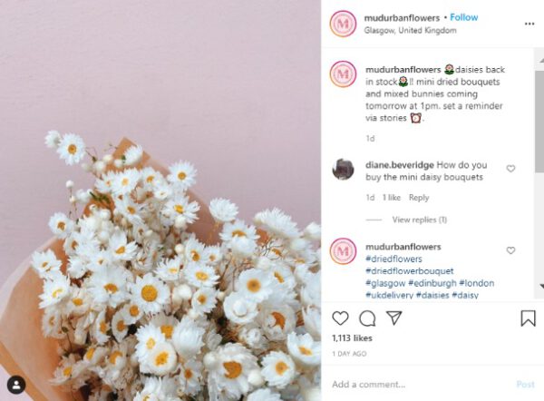 Mud urban flowers post - The Dried Flower Instagram Community on thursd