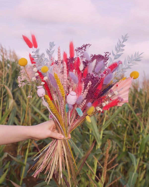 The happy blossoms photo - The Dried Flower Instagram Community on thursd