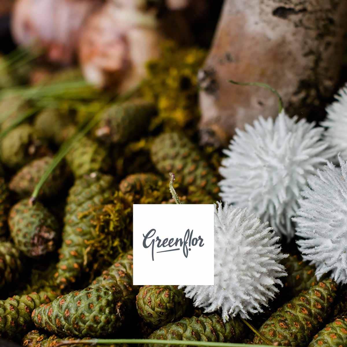 ready-for-christmas-with-greenflor-featured