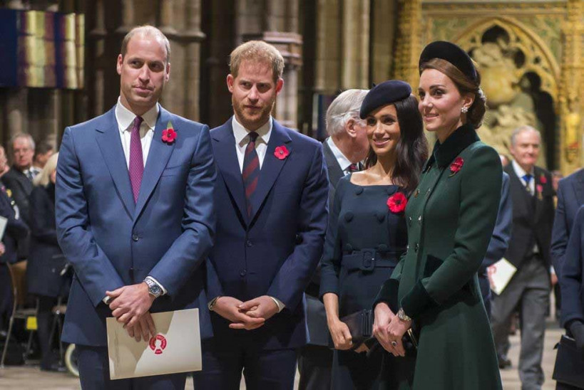 Why Does the Royal Family Wear Poppies During Remembrance Day? Article...