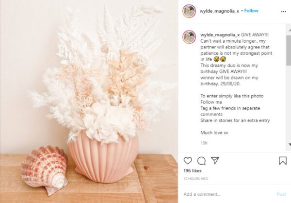 Wylde magnolia post - The Dried Flower Instagram Community on thursd