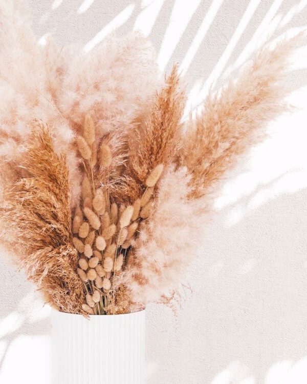 pampasandcouk - These Fluffy Bunny Tails are Taking over the Dried Flower Scene - lagurus in dried flower bouquet on thursd
