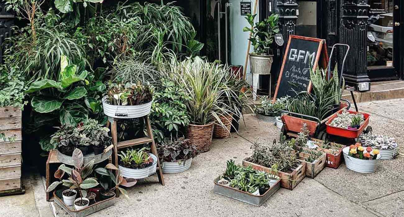 6 Flower Shops to Visit in New York Article on Thursd