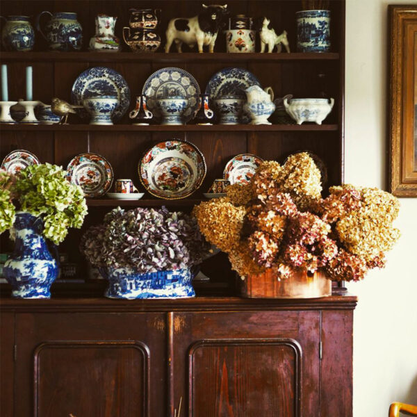 Classic Hortensias Perfect for Drying