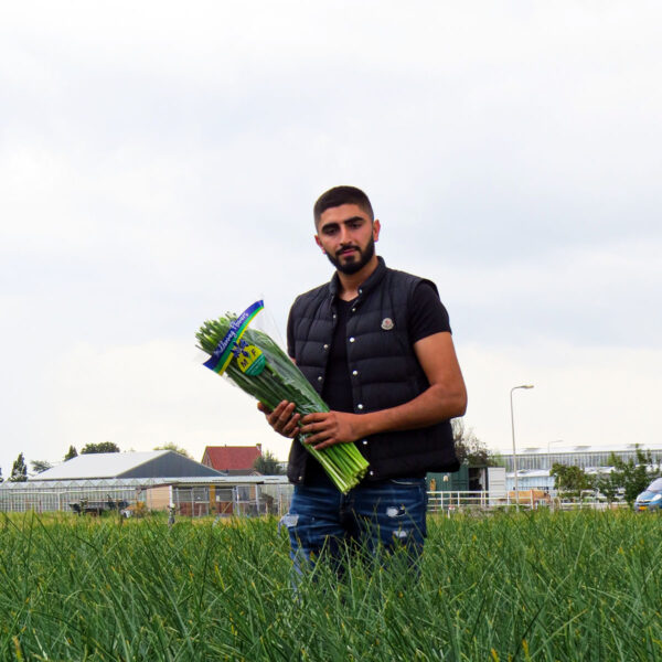 Middenweg Flowers Grower on Thursd