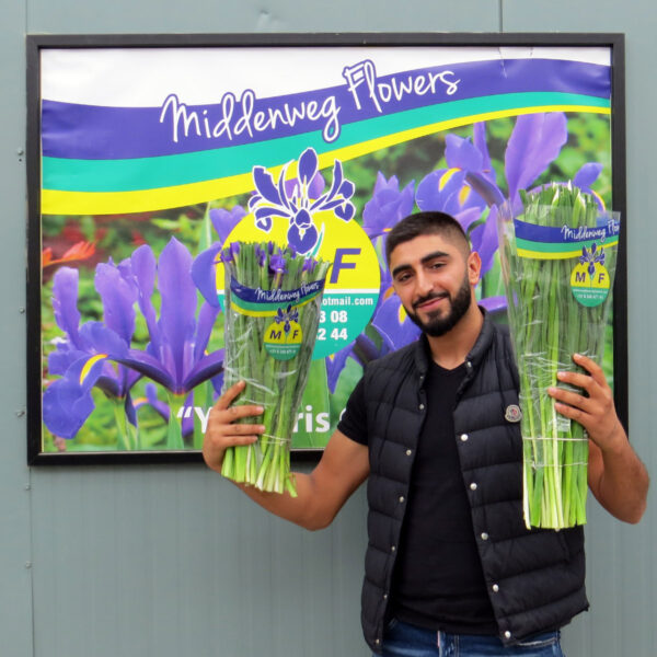 Middenweg Flowers To Be Decorum Growers