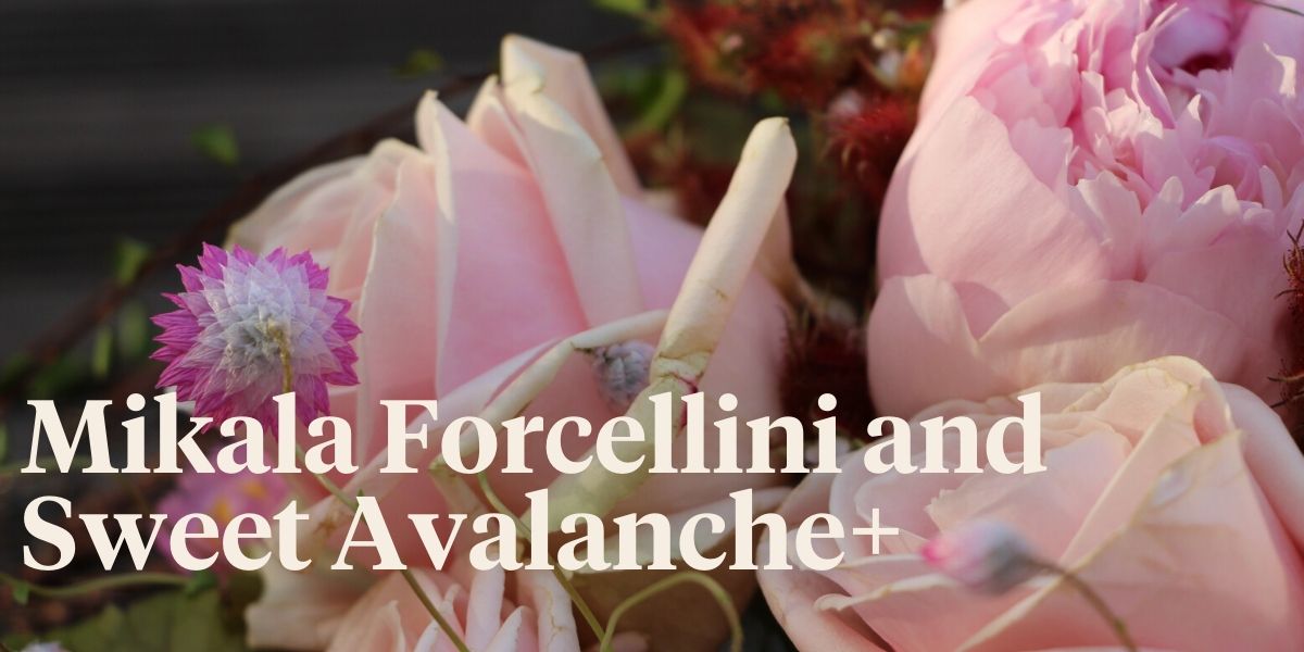 mikala-forcellini-and-sweet-avalanche-header