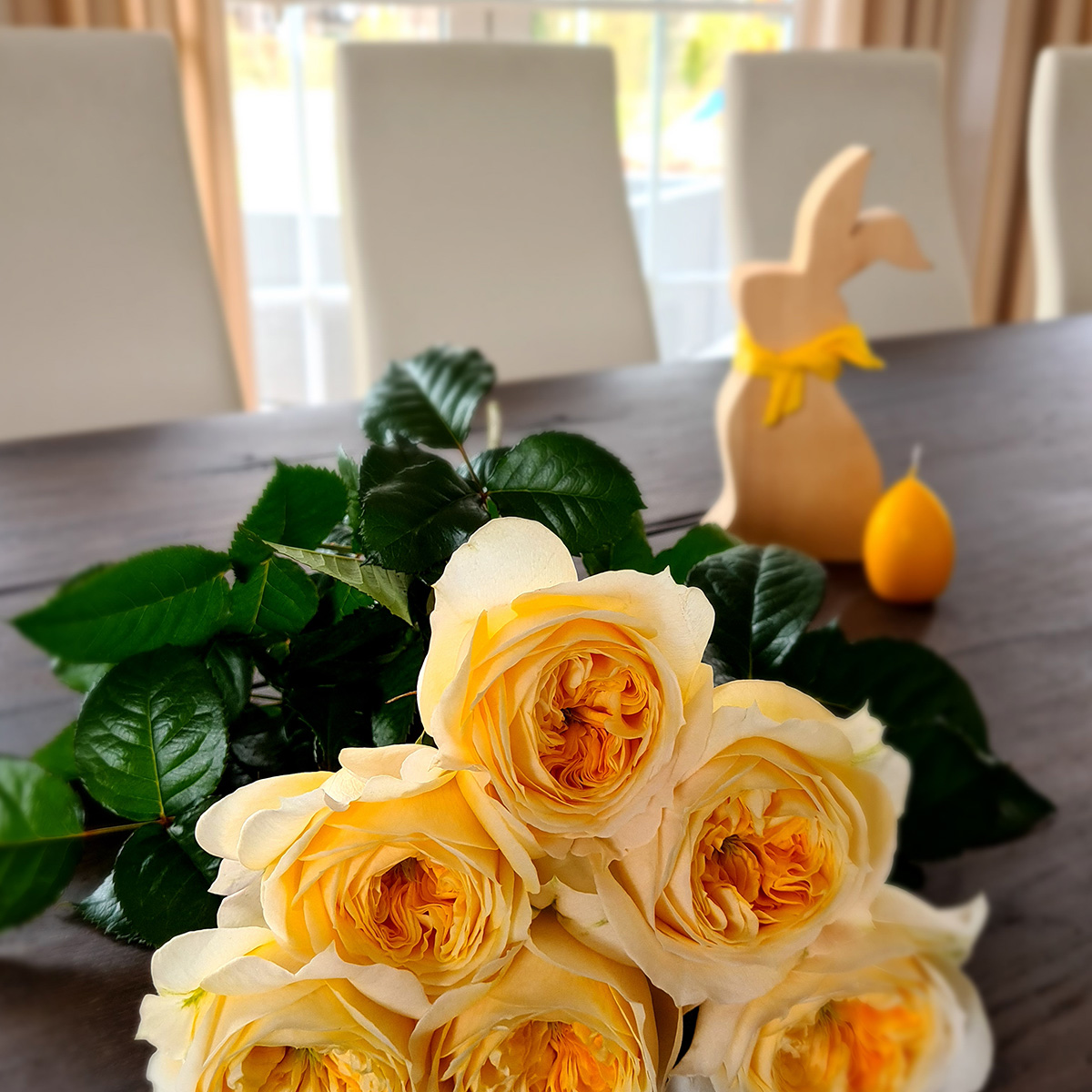 rose-persuasion-the-yellow-royal-beauty-featured
