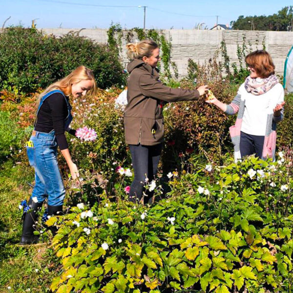 The Zero Waste Flower School of Kwiaty & Miut