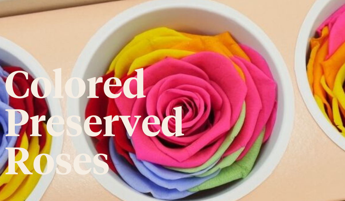Takashi Murakami Preserved Rose Flower Tribute - Jet Fresh Flower  Distributors