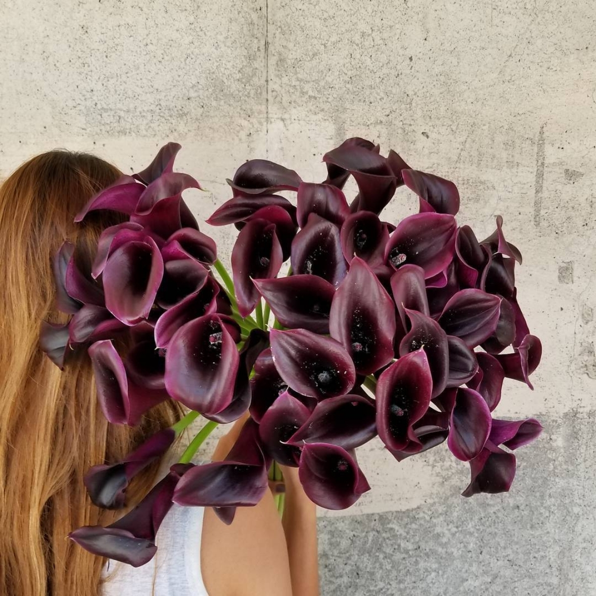 the-outspoken-and-simple-style-of-the-calla-shown-by-florists-from-around-the-world-featured