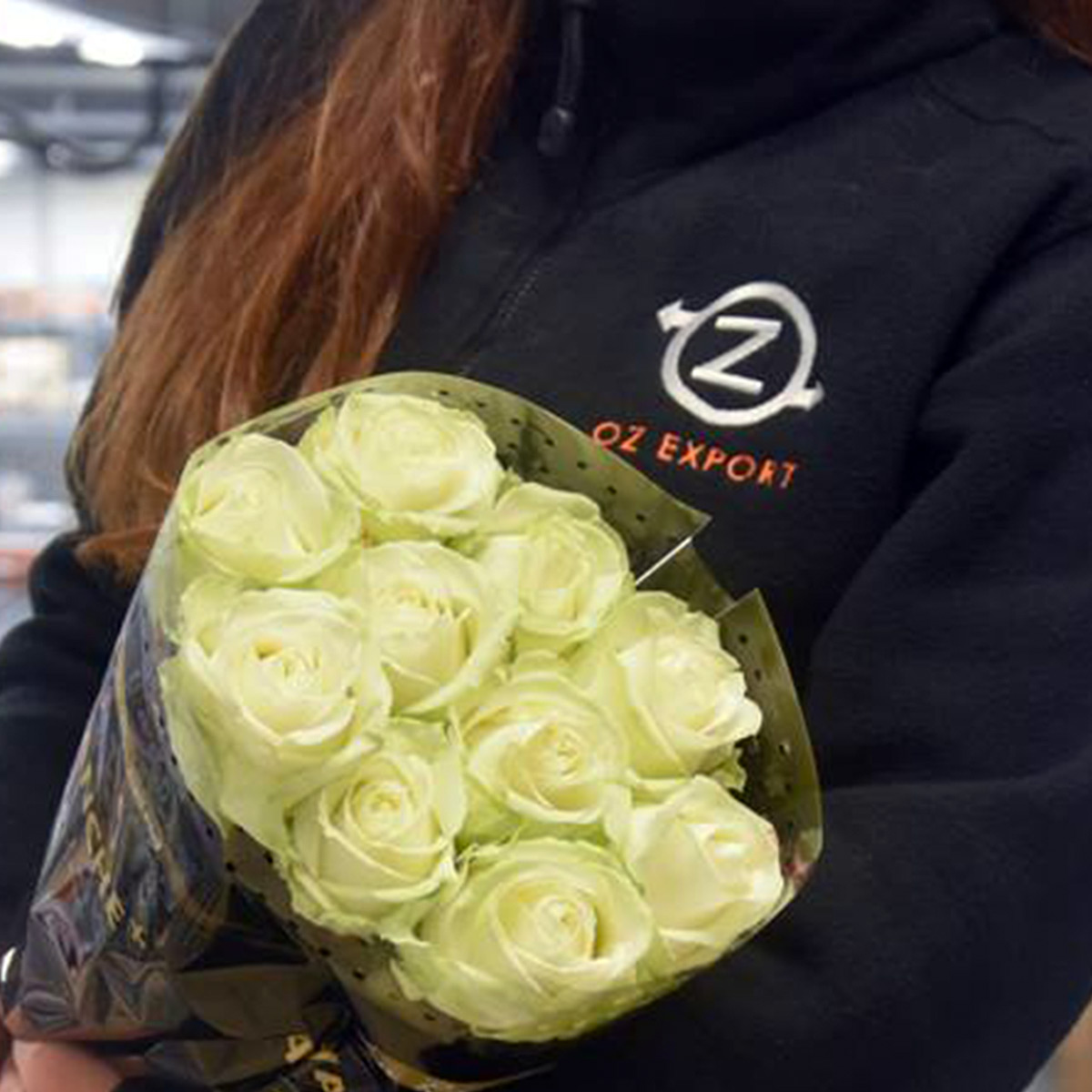 the-queen-of-roses-at-oz-export-featured