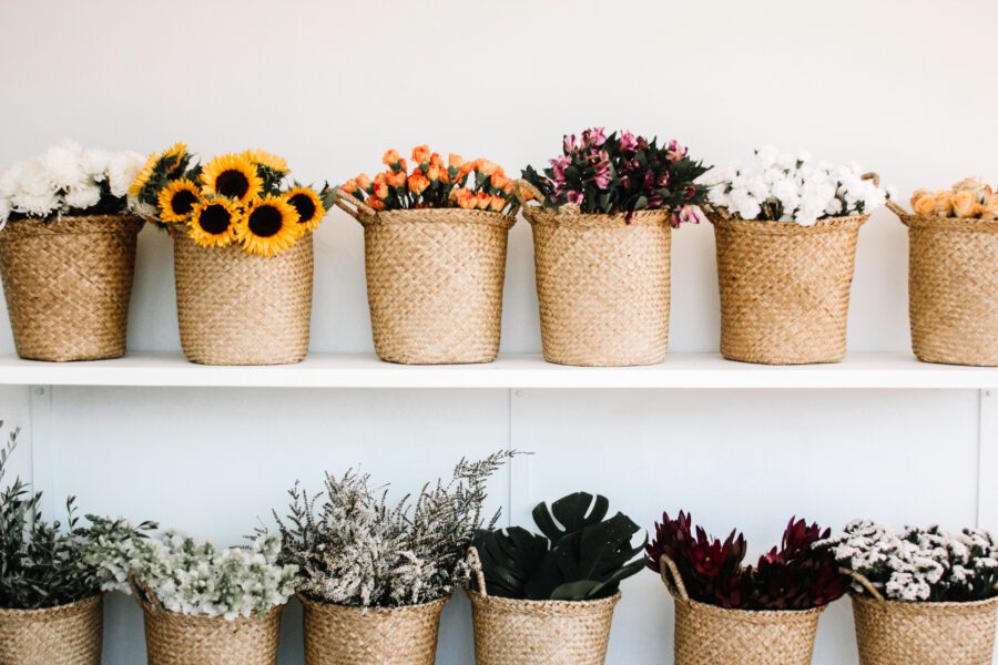 Start Instagram in 10 steps - row of flowers in buckets - hamifleurs on thursd
