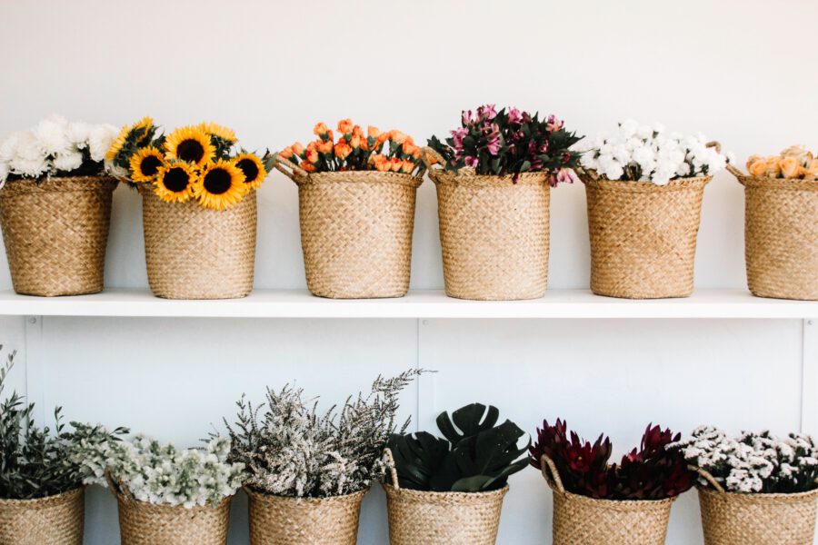 Start Instagram for Florists in 10 steps - Article onThursd