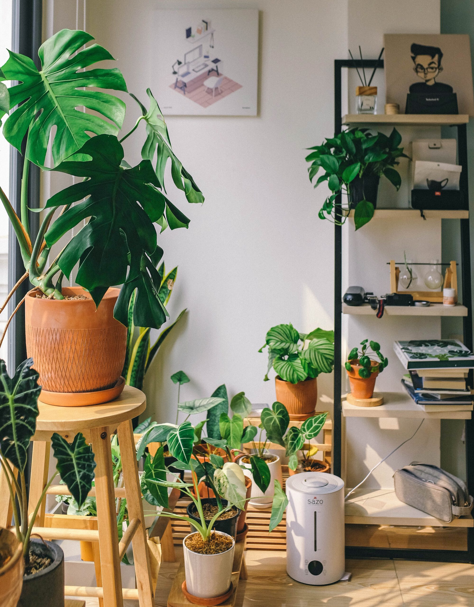 planty-inspiration-from-these-5-urban-jungle-blogs-featured