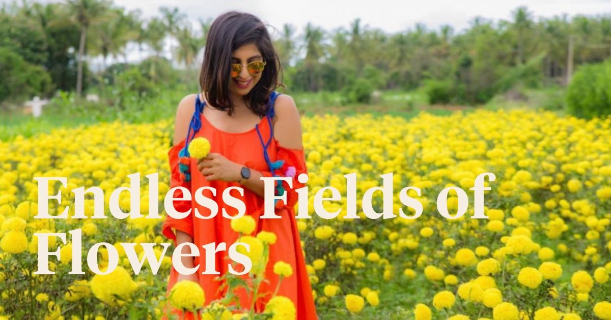 indian-road-trip-flower-fields-mysore-and-coorg-meta-opengraph