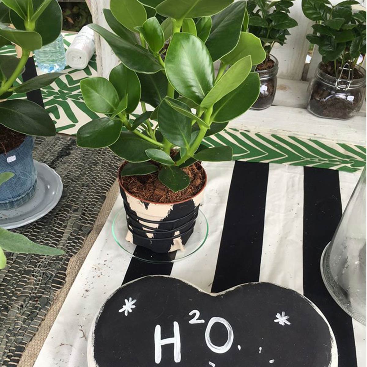 resetting-with-plants-after-covid-19-featured