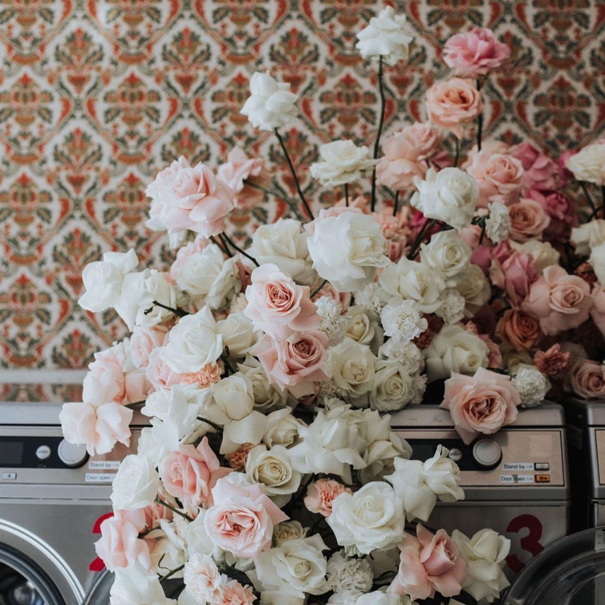top-10-avalanche-roses-designs-on-instagram-featured