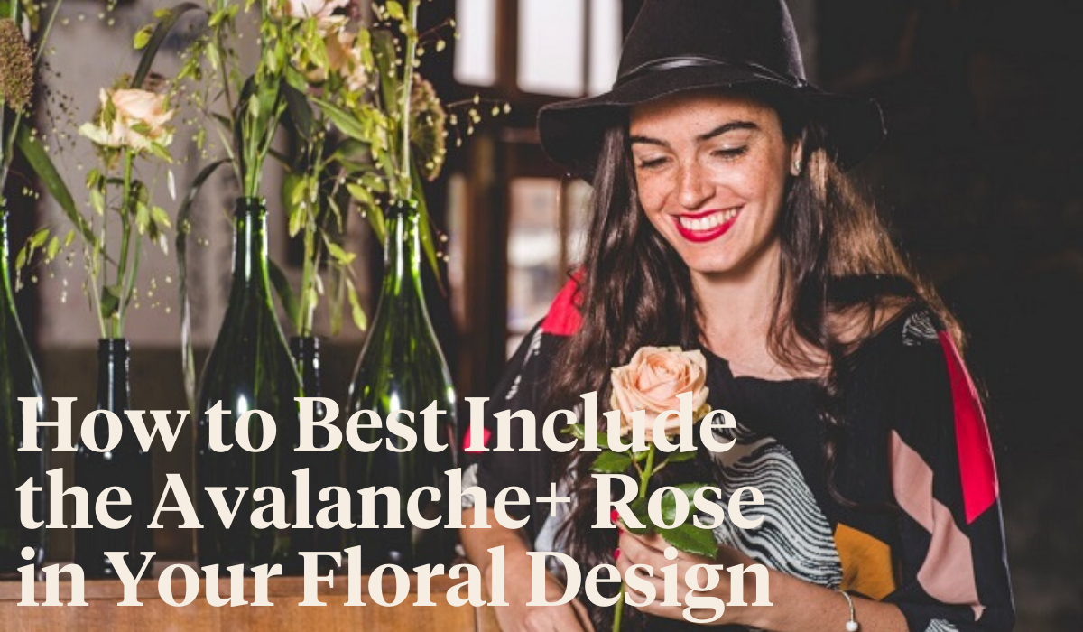 florist-techniques-with-the-avalanche-rose-header