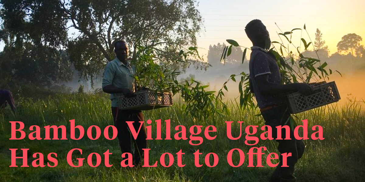 bamboo-village-uganda-is-much-more-than-just-carbon-compensation-header