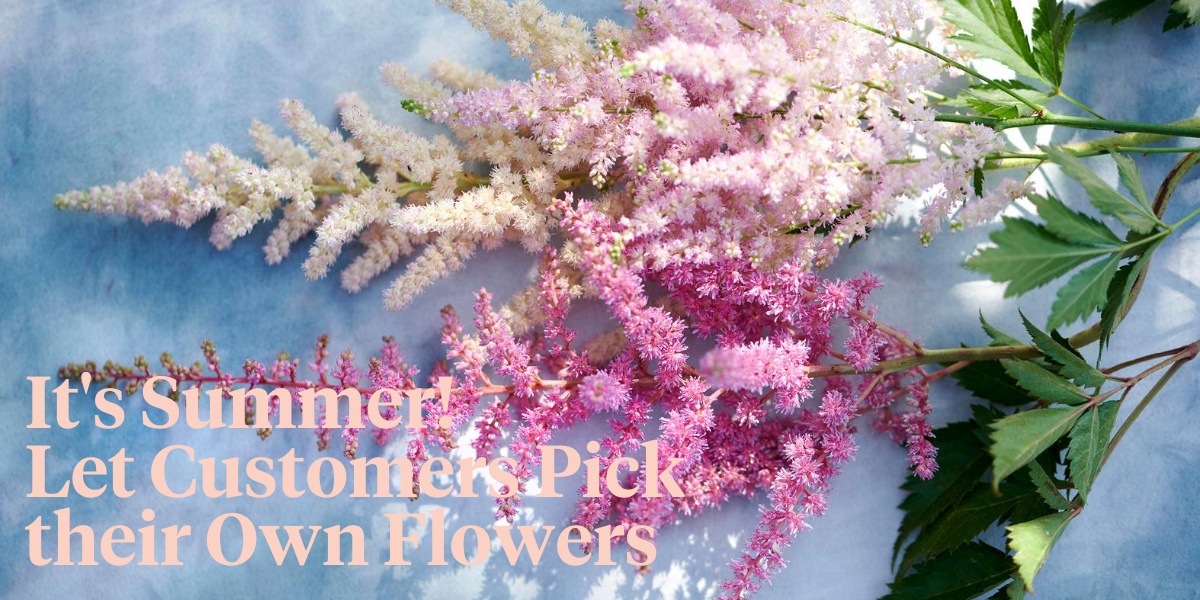 the-joy-of-picking-your-own-flowers-header
