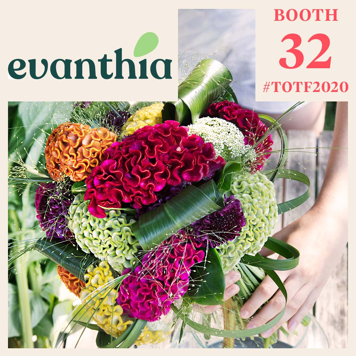 evanthias-fall-winter-listings-2020-featured