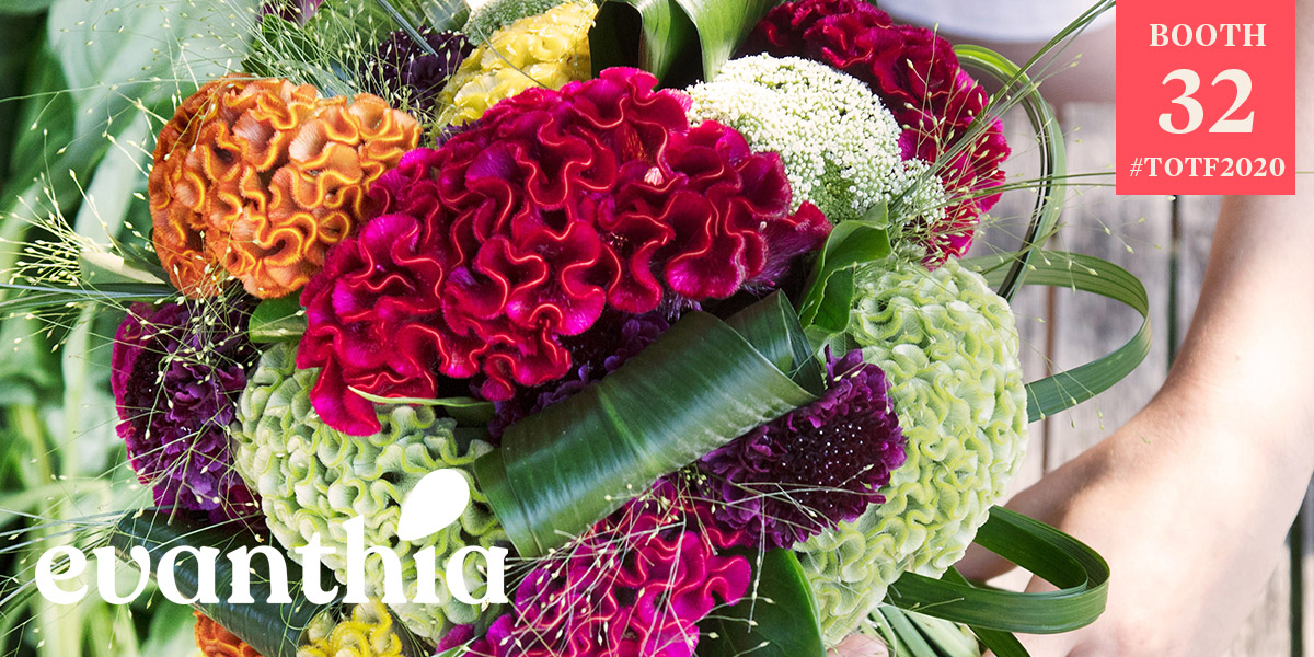 evanthias-fall-winter-listings-2020-header