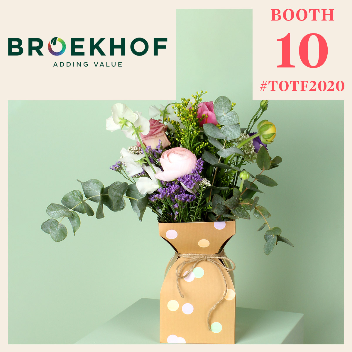 broekhof-add-value-to-your-flowers-and-plants-featured