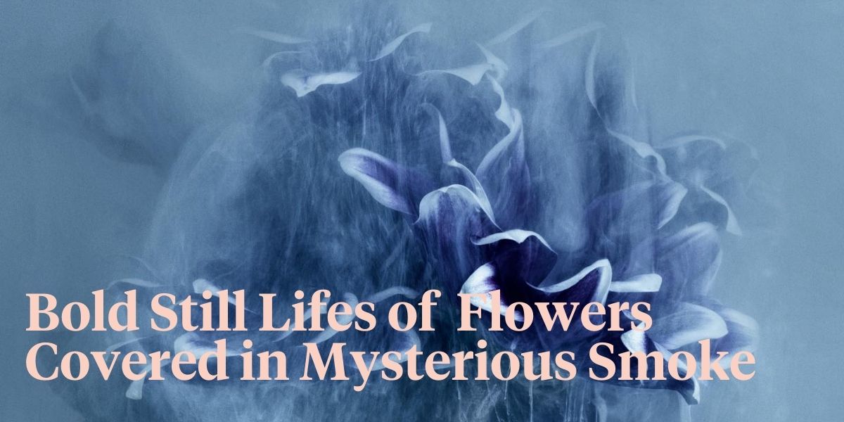 bold-floral-photos-covered-in-mystery-header