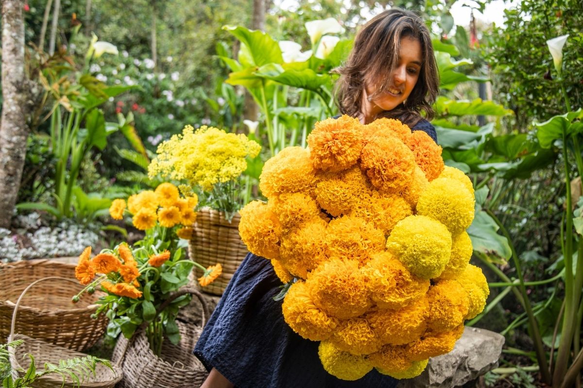 marigolds symbolism