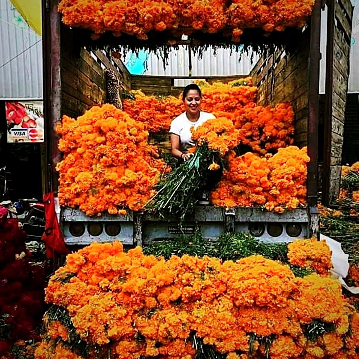 the-marigold-fields-in-puebla-flowers-of-the-dead-featured