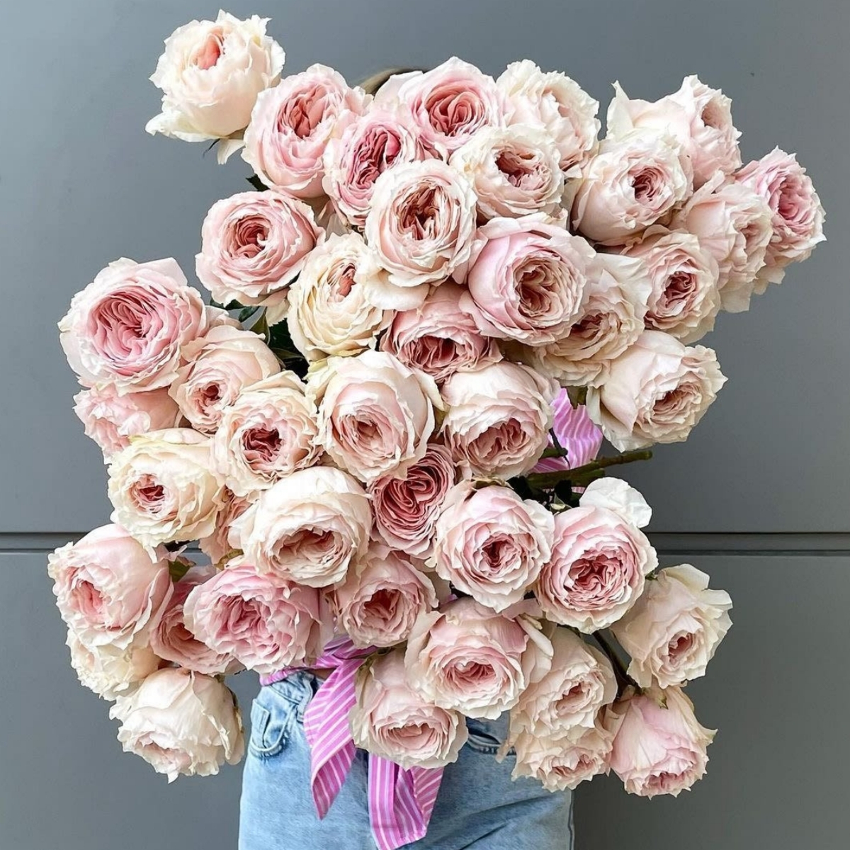 garden-roses-from-alexandra-farms-take-top-three-spots-in-proflora-variety-contest-featured