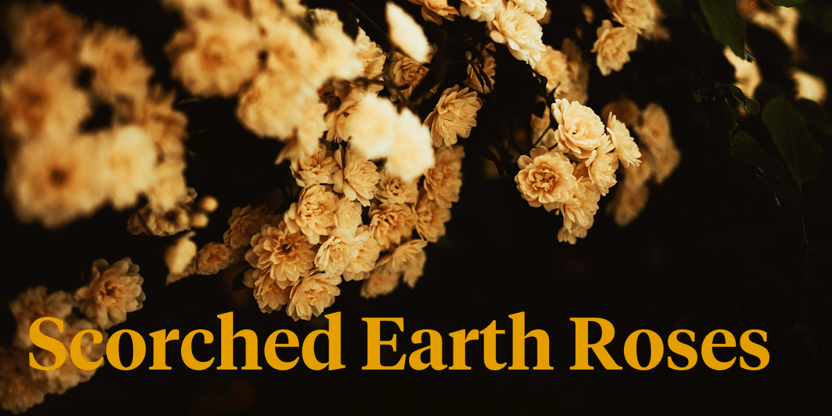 10-roses-that-fit-into-your-scorched-earth-color-palette-header